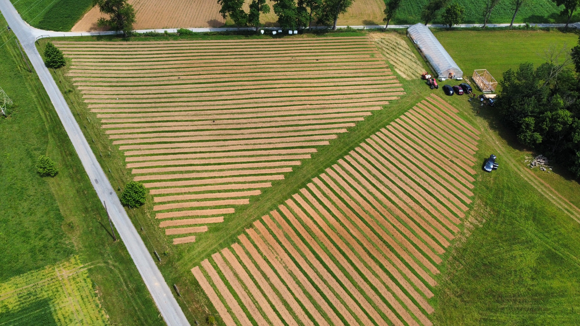 CBG-Hemp-Farm-Lancaster-County-PA